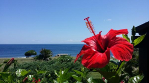 Sogno sul mare Stintino